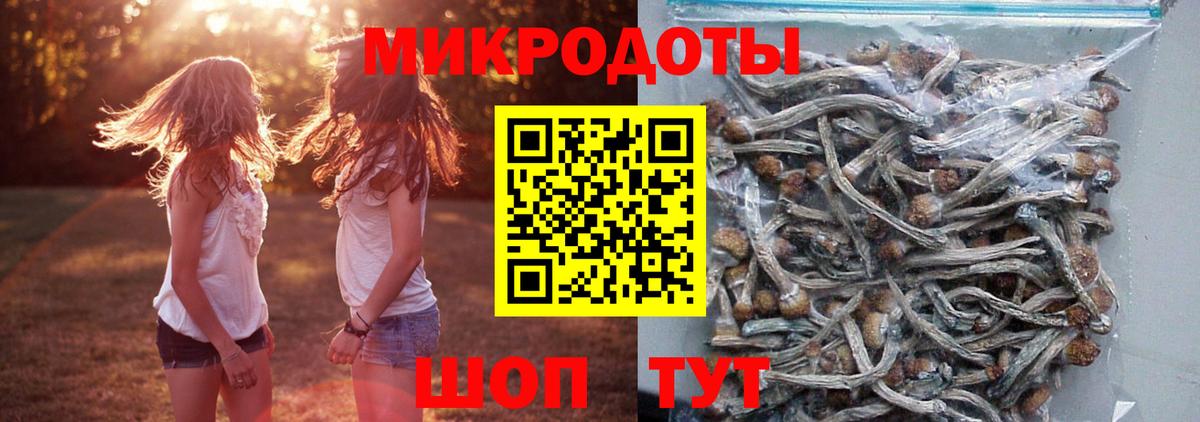 Галлюциногенные грибы MAGIC MUSHROOMS  Вход с VPN  Можайск  Галлюциногенные грибы Magic Shrooms 